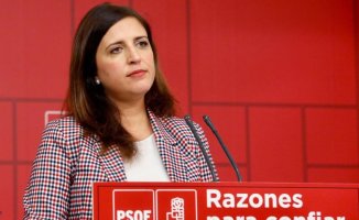 The deputy for Burgos, Esther Peña, will be the new spokesperson for the PSOE