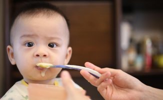 My little one doesn't want to eat solids, what can I do?