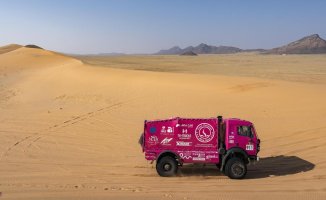 A 'pink elephant' in Arabia