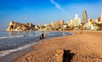 Benidorm collects more than 540 tons of garbage on its beaches in one year