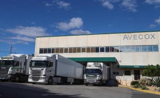 There are 2,000 drivers missing from Alicante transport companies