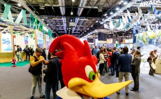 Fitur 2024: Schedule of the tourism fair in Madrid and how to get to Ifema