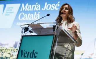 Valencia asks the Government for tax reductions for donations to the European green capital