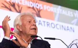 Controversy grows over Felipe González's latest statements on renewables and nuclear