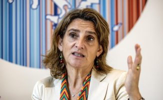 Ribera questions García-Castellón's criteria in the Tsunami case