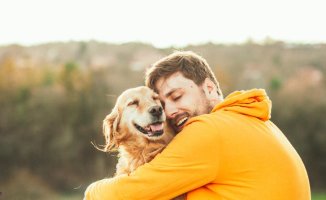 Does your dog love you? Signs that may show the opposite