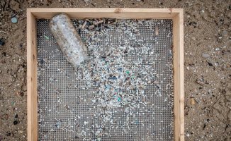 The Government prosecutes thirteen companies for the dumping of 'pellets' on the Costa Dorada
