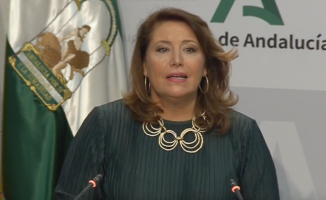 Andalusia approves the IV Drought Decree, with 217 million and aid to the agricultural sector