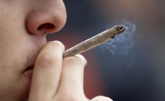 Doctors warn about the trivialization of cannabis consumption