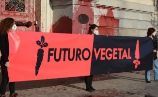 22 Futuro Vegetal activists arrested for causing damage of more than 500,000 euros