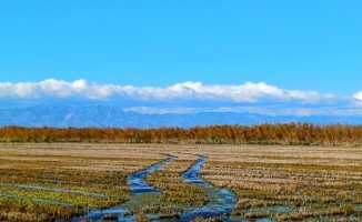 The charm of the flooded land of the Ebro Delta