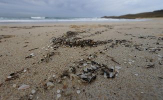 Galicia raises the alert to level 2 due to the dumping of plastic pellets on its beaches