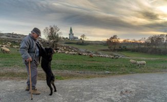 The endearing hug between the shepherd and his dog