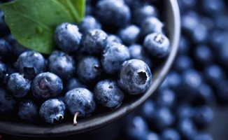 Why it still cannot be said that blueberries prevent urinary infections