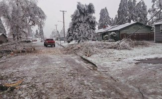 Almost a hundred dead due to the Arctic storm that hits the United States