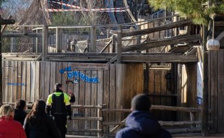 What is Tomahawk like, the Port Aventura attraction damaged by a falling tree?