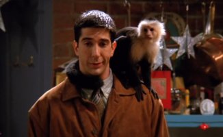 What happened to Marcel, the monkey from 'Friends'?