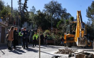 Asphalt improvements and measures against wild boars in the streets of Vallvidrera and Les Planes