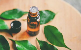Be careful with the ingredient tea tree oil: these are the risks associated with its misuse