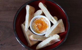 Homemade chickpea hummus: how to make the traditional and easy recipe