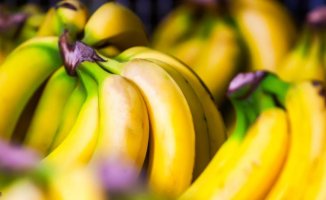 Bananas: the answer to why you should not store them in the refrigerator