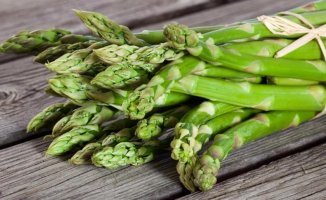 Asparagus: properties, benefits and nutritional value