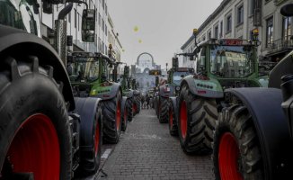 The keys to the farmers' protests: is the European countryside in crisis?