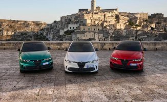 Alfa Romeo launches the most patriotic and luxurious versions of the range, but for a limited time