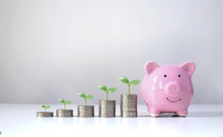 Monetary funds and savings accounts that stand up to deposits with up to 4% APR