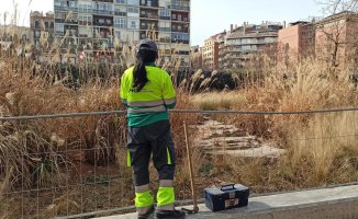 A plague of rats on a site at the Hospital Clínic in Barcelona alarms the neighbors