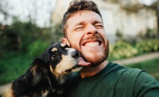 Do you want to flirt more on Tinder? Your dog is the key