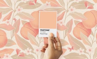Peach Fuzz: this is how the pantone of the year is worn in the hair