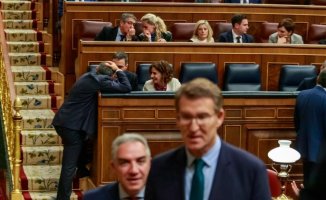 Spain remains a "full democracy" despite the CGPG blockade and polarization