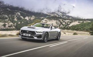 New Ford Mustang: the cheapest V8 that will make your stomach tickle every time you accelerate