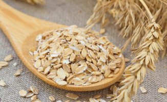 Oat drink: discover why it is a source of protein