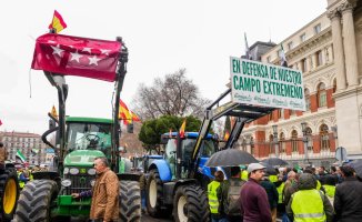Planas proposes changes in the CAP in the EU to calm farmers' protests