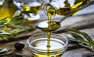 The 5 best-rated olive oils on Amazon. Which one should I buy?