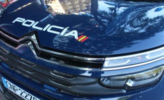 An Albanian organization dedicated to cocaine trafficking dismantled in Valencia