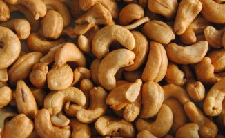 What are cashews: properties, benefits and nutritional value