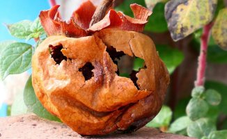 How to create a fake Halloween-style pumpkin