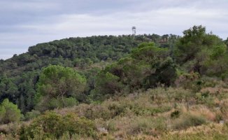 The dry winter and heat force the Valencian forestry observatories to open earlier