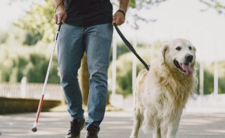 A hotel denies accommodation to a blind man for bringing his guide dog: "Animals are not allowed here"