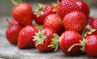 Strawberries: what to know before buying and eating this fruit