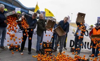 Farmers will demand that the port of Valencia eliminate bonuses for importers