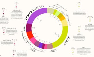 Learn everything about wine with these illustrated guides