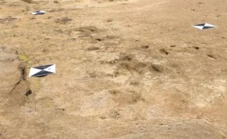 Human footprints from 90,000 years ago found in Morocco, among the oldest in the world