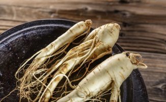 A new review answers how ginseng consumption can benefit athletes
