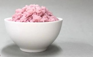 Korean scientists create protein-rich rice that could replace beef