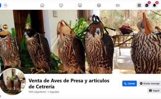 They denounce the massive sale of birds online in Spain, which can threaten their conservation