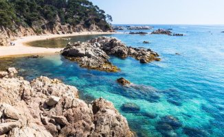 A cove on the Costa Brava among the 100 best beaches in the world, according to 'Lonely Planet'